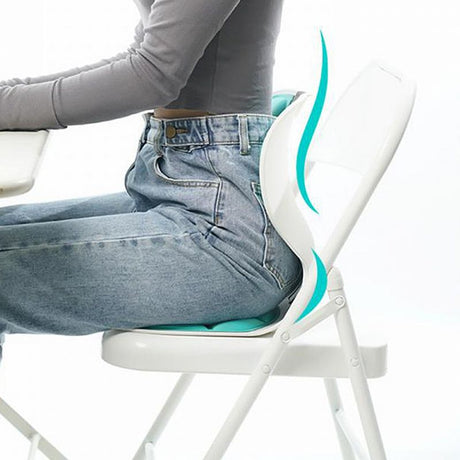 Dr Pillow Posture Pro LUMBAR SUPPORT